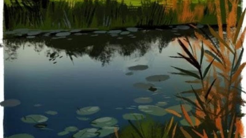 种植牙取模与戴牙：揭秘牙医背后的精细工艺